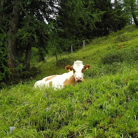 Bauernhof Grussberggut Gratis Therme & Sommerbergbahn *
