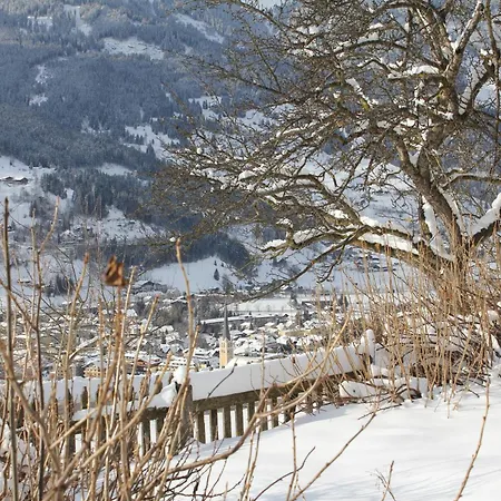 Bauernhof Grussberggut Farm stay