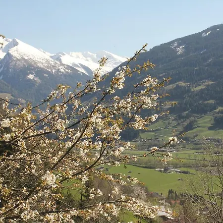 Farm stay Bauernhof Grussberggut *